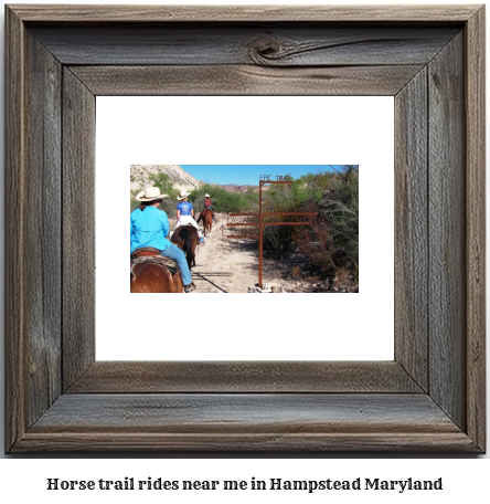 horse trail rides near me in Hampstead, Maryland